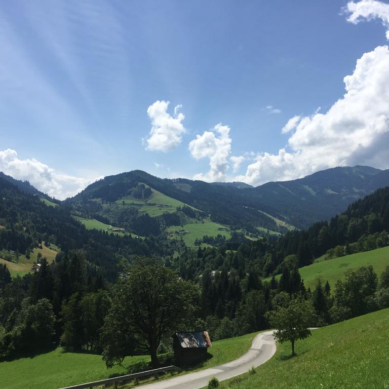 Ferienwohnungen Unterleegut Mühlbach am Hochkönig 외부 사진
